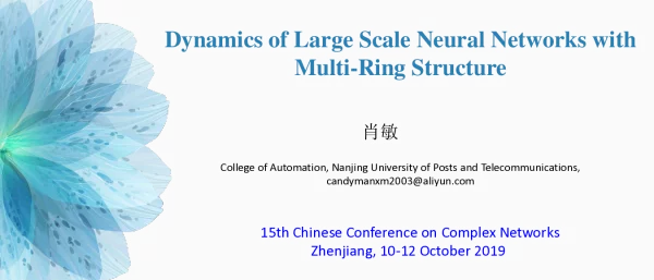 DynamicsofLargeScaleNeuralNetworkswithMulti-RingStructure