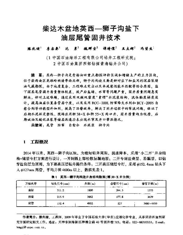 柴达木盆地英西-狮子沟盐下油层尾管固井技术
