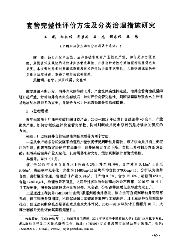 套管完整性评价方法及分类治理措施研究