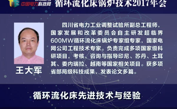 中国循环流化床锅炉技术经验交流