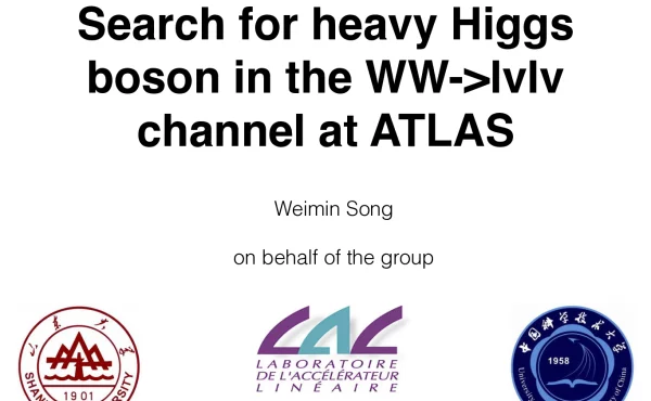 SearchforheavyHiggsbosonintheWW-lvlvchannelatATLAS