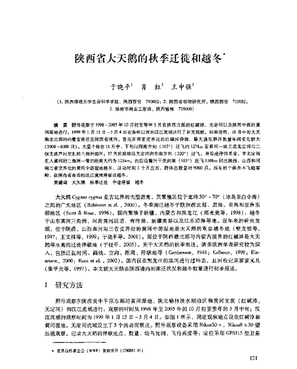 陕西省大天鹅的秋季迁徙和越冬