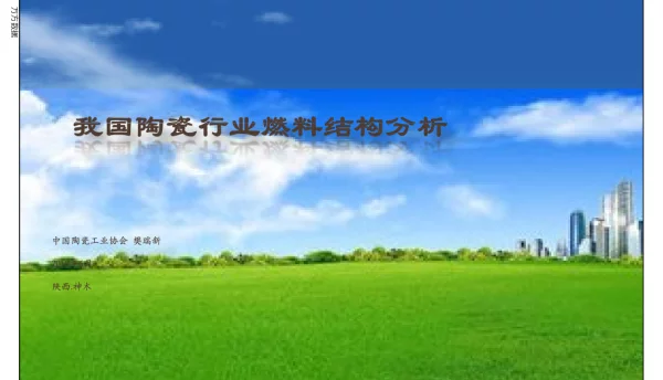我国陶瓷行业燃料结构分析