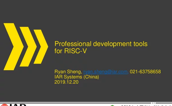 ProfessionaldevelopmenttoolsforRISC-V