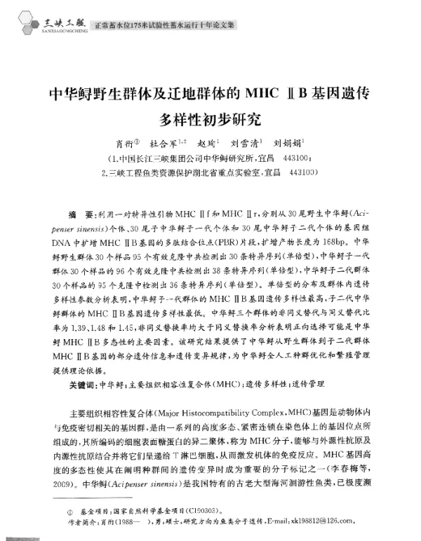 中华鲟野生群体及迁地群体的MHCⅡB基因遗传多样性初步研究