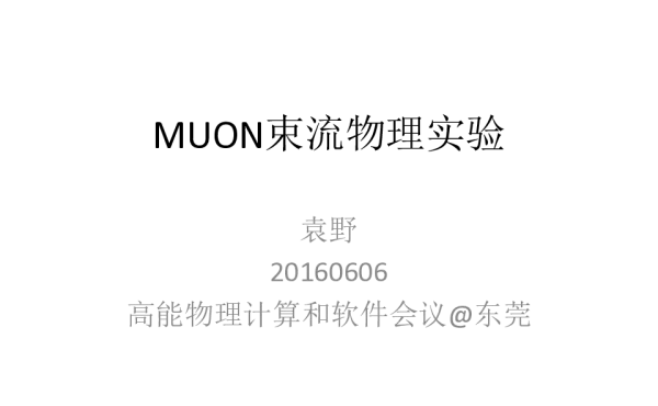 MUON束流物理实验