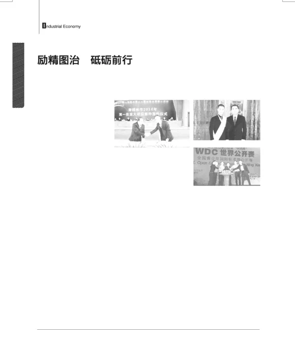 励精图治砥砺前行—记宁夏锦绣集团有限公司董事长袁斌
