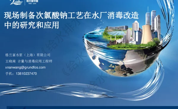 现场制备次氯酸钠工艺在水厂消毒改造中的研究和应用