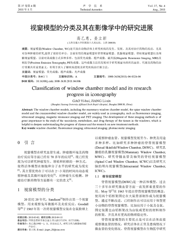视窗模型的分类及其在影像学中的研究进展