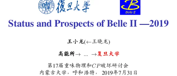 StatusandProspectsofBelleⅡ-2019