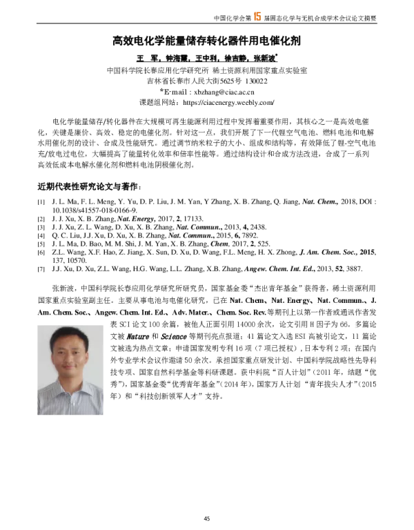 高效电化学能量储存转化器件用电催化剂