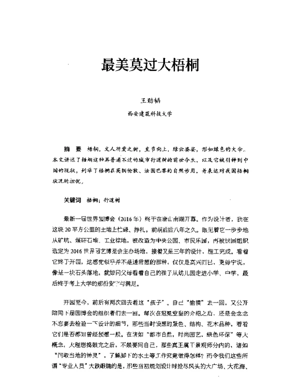 最美莫过大梧桐