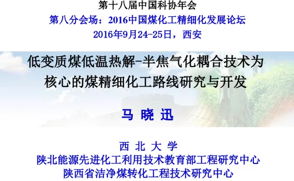 低变质煤低温热解-半焦气化耦合技术为核心的煤精细化工路线研究与开发