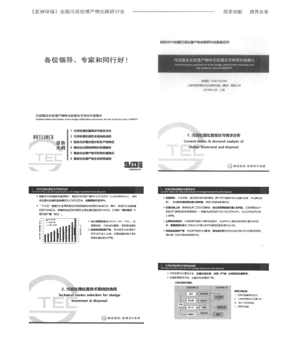 污泥稳定化处理产物转化机理及可利用价值揭示