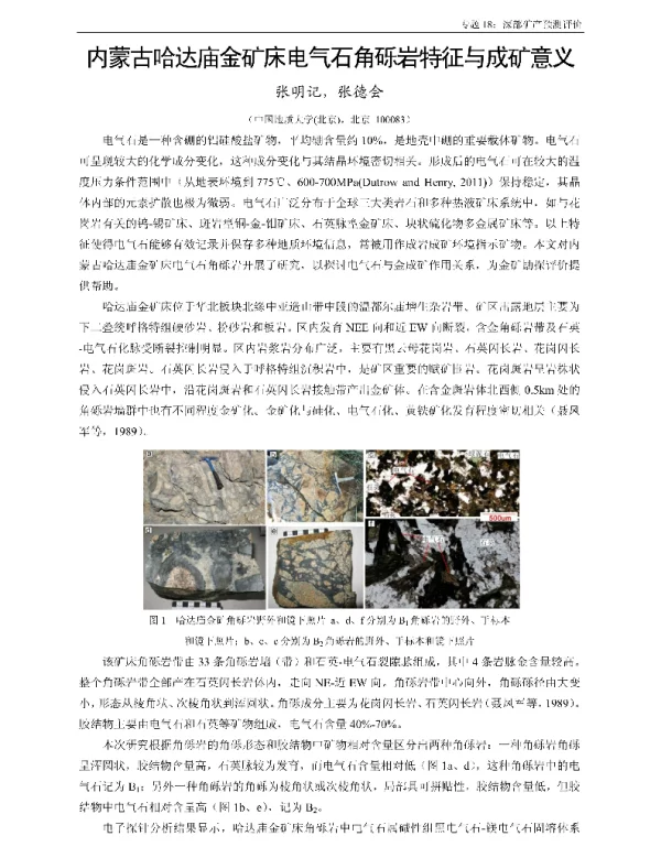 内蒙古哈达庙金矿床电气石角砾岩特征与成矿意义
