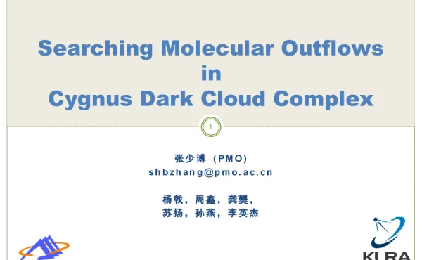 SearchingMolecularOutflowsinCygnusDarkCloudComplex