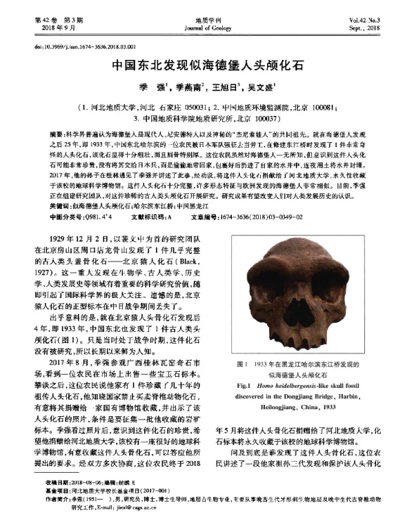 中国东北发现似海德堡人头颅化石