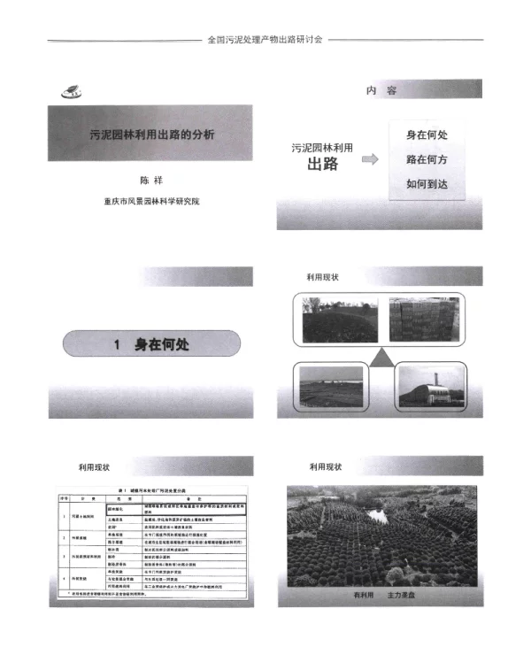 污泥园林利用出路的分析