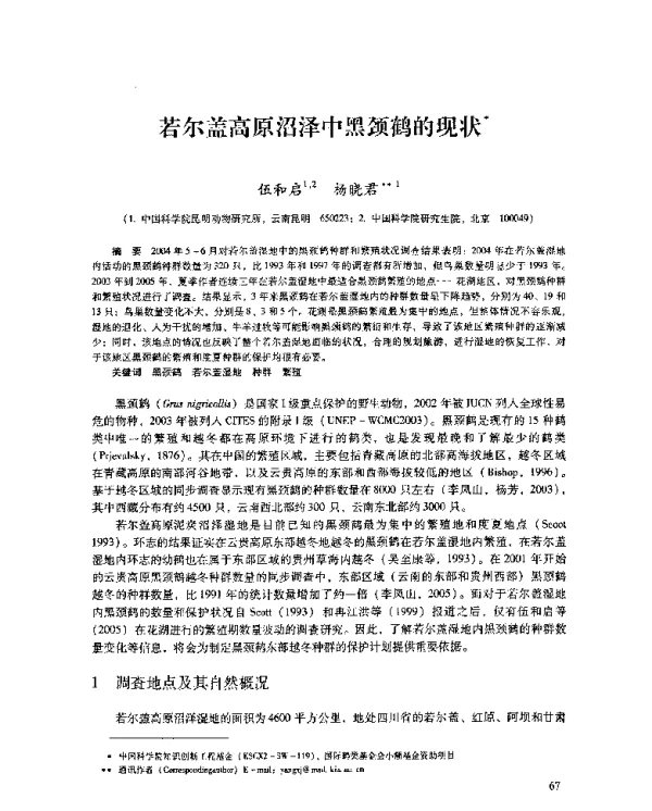 若尔盖高原沼泽中黑颈鹤的现状