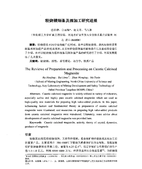 轻烧镁制备及深加工研究进展