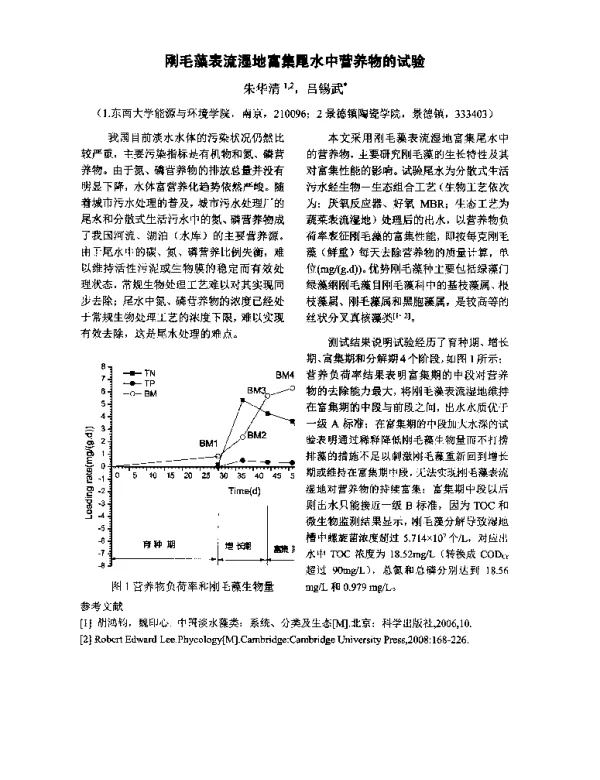刚毛藻表流湿地富集尾水中营养物的试验