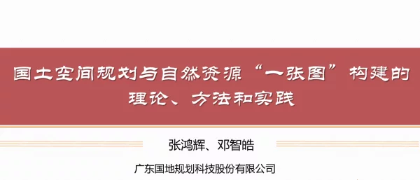 国土空间规划与自然资源“一张图”构建的理论、方法和实践