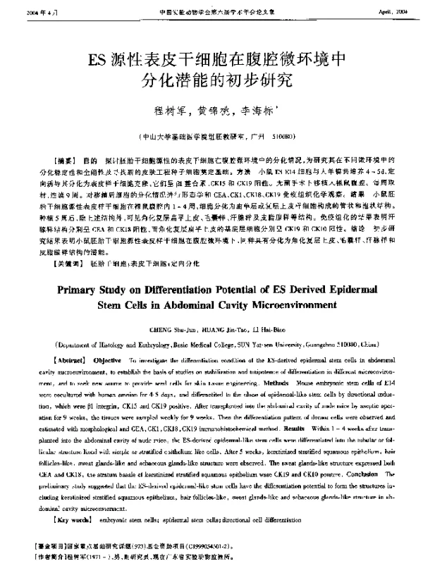 ES源性表皮干细胞在腹腔微环境中分化潜能的初步研究