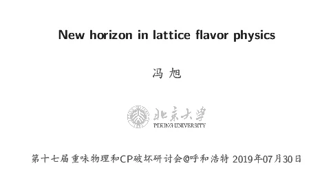 Newhorizoninlatticeavorphysics