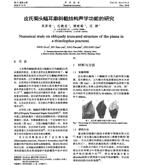 皮氏菊头蝠耳廓斜截结构声学功能的研究