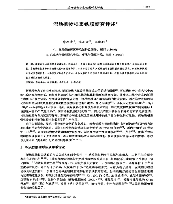 湿地植物根表铁膜研究评述