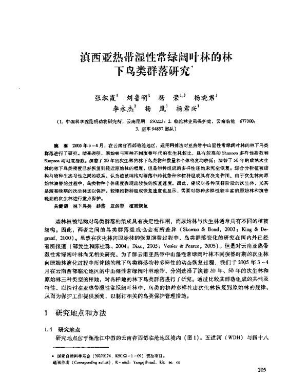 滇西亚热带湿性常绿阔叶林的林下鸟类群落研究