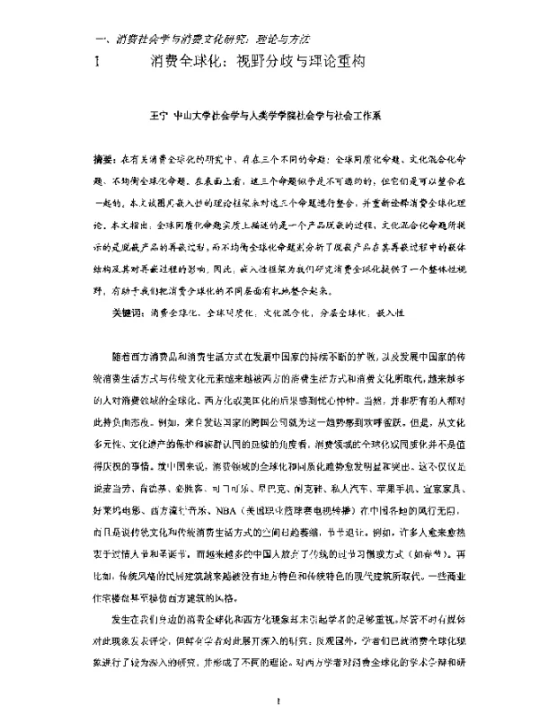 消费全球化视野分歧与理论重构