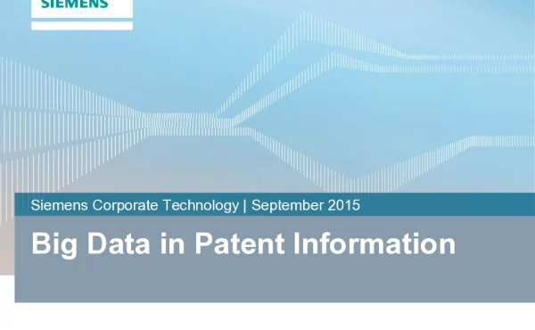 BigDatainPatentInformation