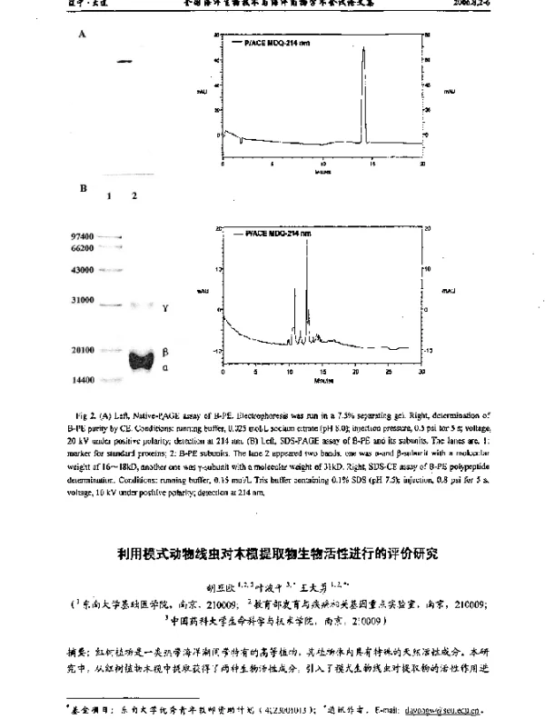 利用模式动物线虫对木榄提取物生物活性进行的评价研究