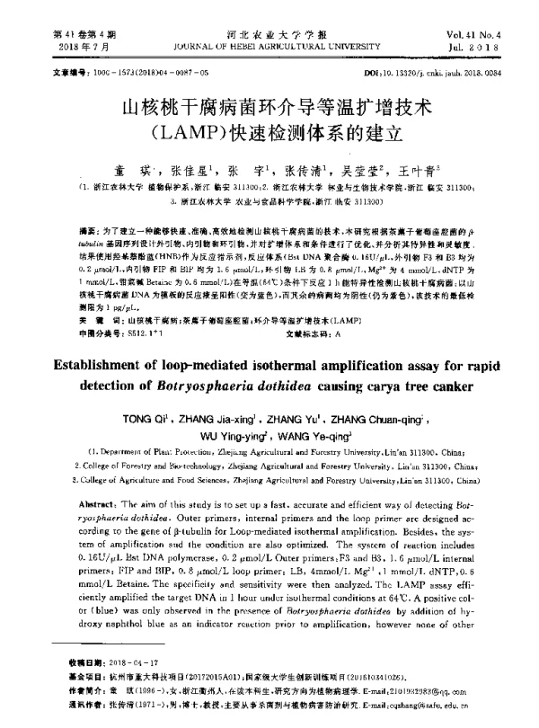 山核桃干腐病菌环介导等温扩增技术(LAMP)快速检测体系的建立