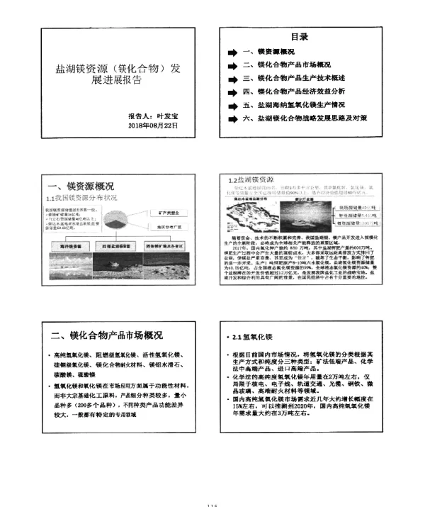 盐湖镁资源(镁化合物)发展进展报告