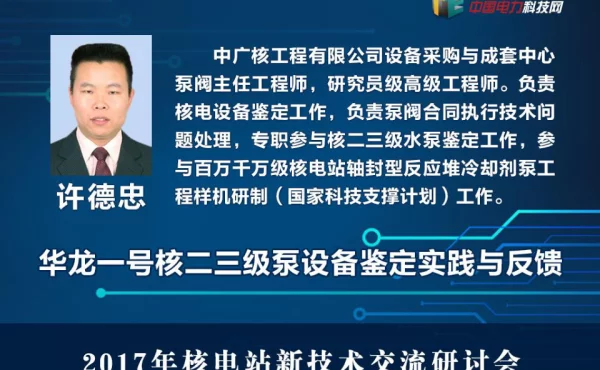华龙一号核二三级泵设备鉴定实践与反馈