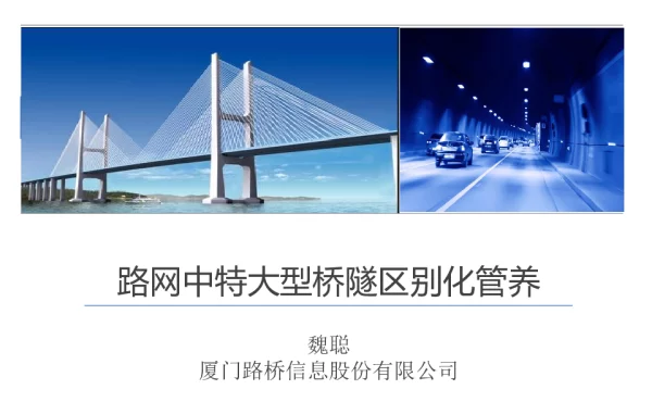 路网中特大型桥隧区别化管养