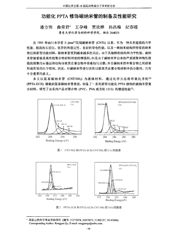 功能化PPTA修饰碳纳米管的制备及性能研究