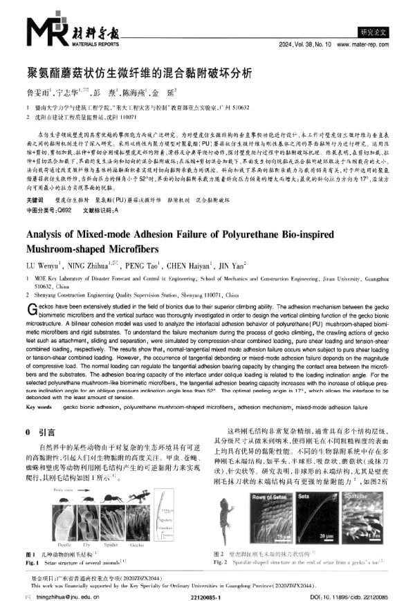 聚氨酯蘑菇状仿生微纤维的混合黏附破坏分析