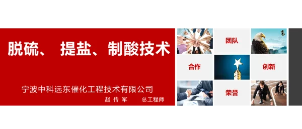 脱硫、提盐、制酸技术