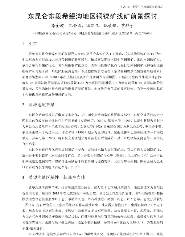 东昆仑东段希望沟地区铜镍矿找矿前景探讨