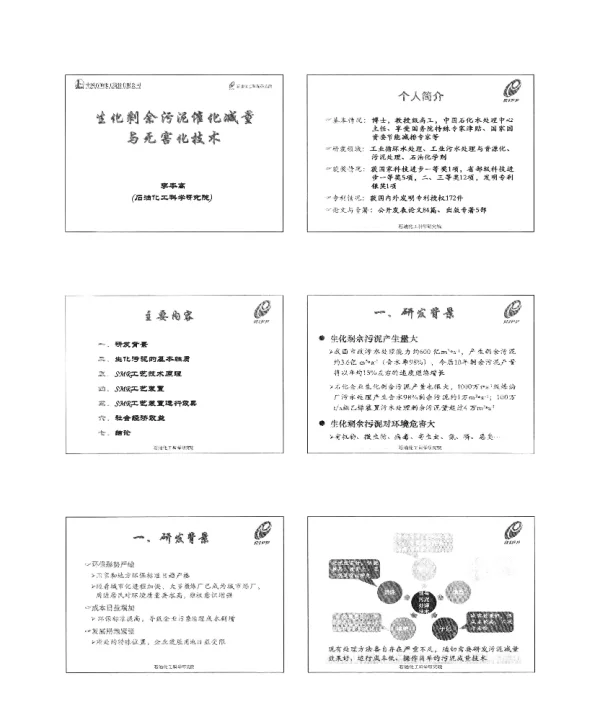 生化剩余污泥催化减量与无害化技术