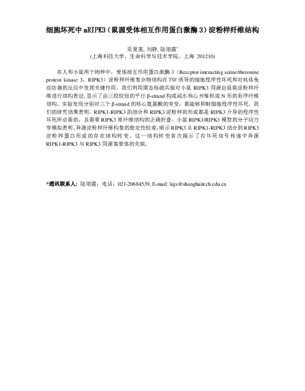 细胞坏死中mRIPK3(鼠源受体相互作用蛋白激酶3)淀粉样纤维结构