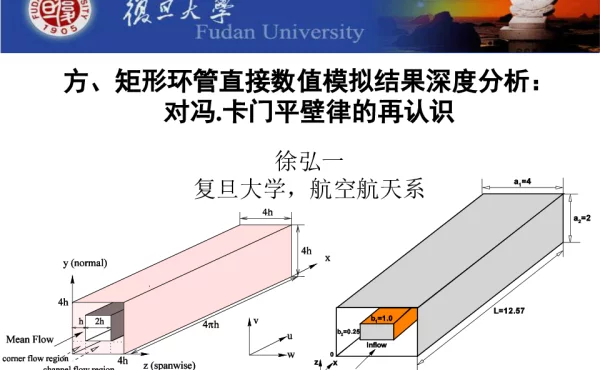 方、矩形环管直接数值模拟结果深度分析对冯.卡门平壁律的再认识