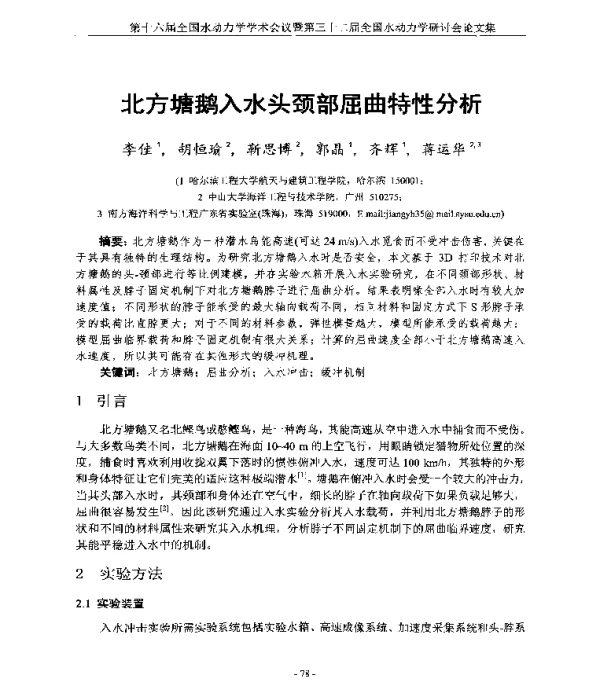 北方塘鹅入水头颈部屈曲特性分析