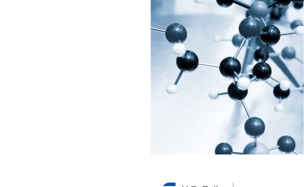 GlobalEngineeringAdhesivesBatteryModuleEncapsulationTechniquesforFirePreventionandCrashPerformance
