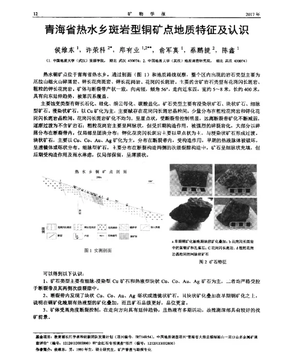 青海省热水乡斑岩型铜矿点地质特征及认识