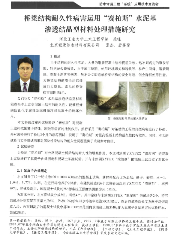 桥梁结构耐久性病害运用赛柏斯水泥基渗透结晶型材料处理措施研究