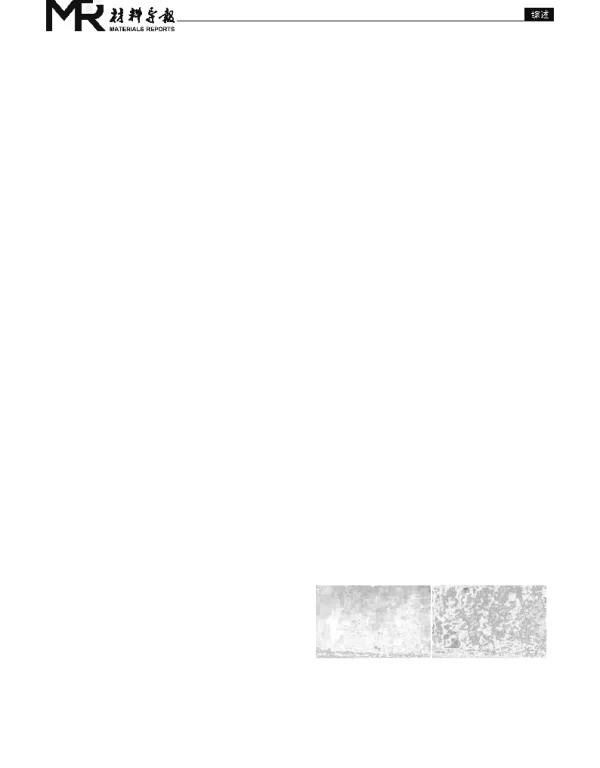 基于同色同谱特征的模拟绿色植被光谱材料研究进展